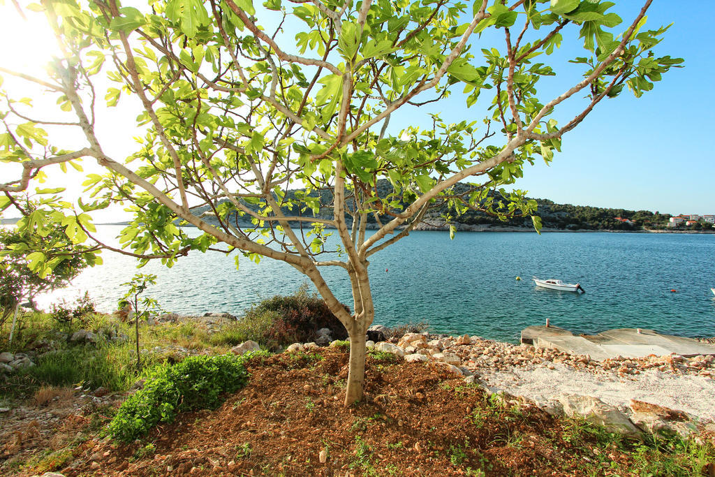 Rajcic Apartments Rogoznica  Dış mekan fotoğraf
